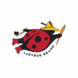 LADYBUG BRAND trademark