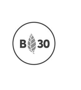 B30 trademark