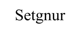 SETGNUR trademark
