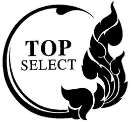 TOP SELECT trademark