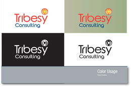 TRIBESY CONSULTING trademark
