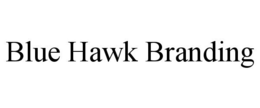 BLUE HAWK BRANDING trademark