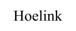 HOELINK trademark