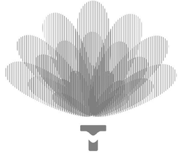 TM trademark