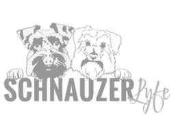 SCHNAUZER LYFE trademark