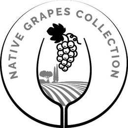 NATIVE GRAPES COLLECTION trademark