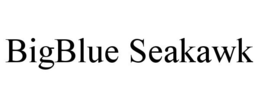 BIGBLUE SEAKAWK trademark