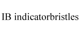 IB INDICATORBRISTLES trademark