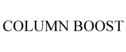 COLUMN BOOST trademark