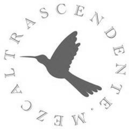 MEZCALTRASCENDENTE trademark