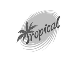 TROPICAL trademark