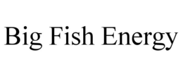 BIG FISH ENERGY trademark