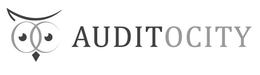 AUDITOCITY trademark
