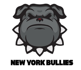 NEW YORK BULLIES trademark