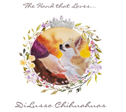 THE HAND THAT LOVES . . . DILUSSO CHIHUAHUAS trademark