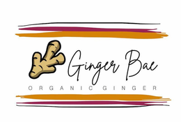GINGER BAE ORGANIC GINGER trademark