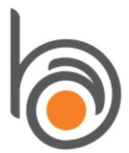 B trademark