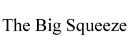 THE BIG SQUEEZE trademark