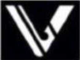 V trademark