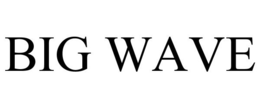 BIG WAVE trademark