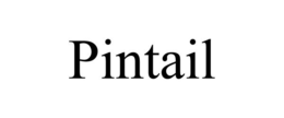 PINTAIL trademark