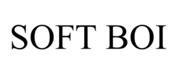 SOFT BOI trademark