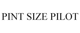 PINT SIZE PILOT trademark