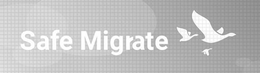SAFE MIGRATE trademark