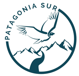 PATAGONIA SUR trademark