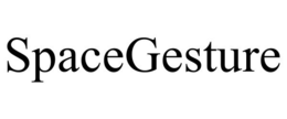 SPACEGESTURE trademark