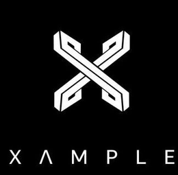 X XAMPLE trademark