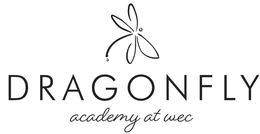 DRAGONFLY ACADEMY AT WEC trademark