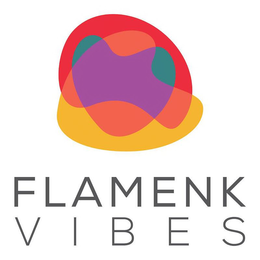 FLAMENK VIBES trademark