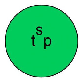TSP trademark