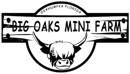 BIG OAKS MINI FARM OKAHUMPKA FLORIDA trademark