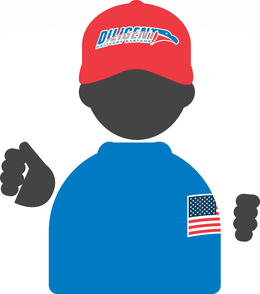 DILIGENT DELIVERY SYSTEMS trademark