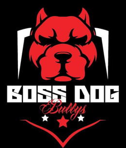 BOSS DOG BULLYS trademark