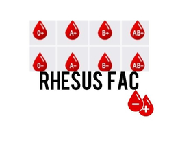 RHESUS FAC O+ O- A- A+ B- B+ AB- AB+ - + trademark