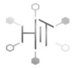 HIT trademark