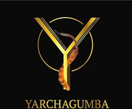 YARCHAGUMBA WITH DEVICE OF Y trademark