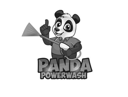 PANDA POWERWASH trademark