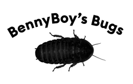 BENNYBOY'S BUGS trademark