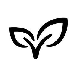 V trademark