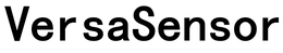 VERSASENSOR trademark