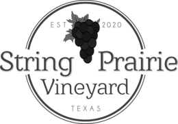 EST 2020 STRING PRAIRIE VINEYARD TEXAS trademark