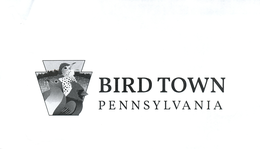 BIRD TOWN PENNSYLVANIA trademark