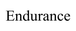 ENDURANCE trademark