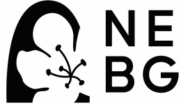 N E B G trademark
