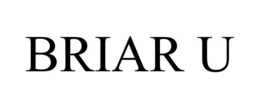 BRIAR U trademark
