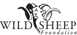 WILD SHEEP FOUNDATION trademark